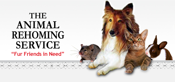The Animal Rehoming Service (TARS)